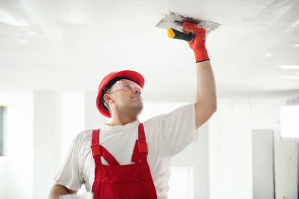 Trusted Francisville, KY Dry wall and painting Experts